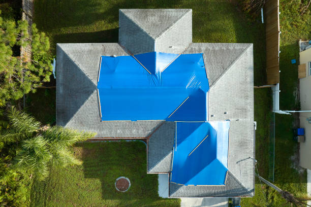 Best Metal Roofing Installation  in Woods Cross, UT