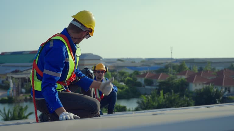 Best Roof Moss and Algae Removal  in Woods Cross, UT